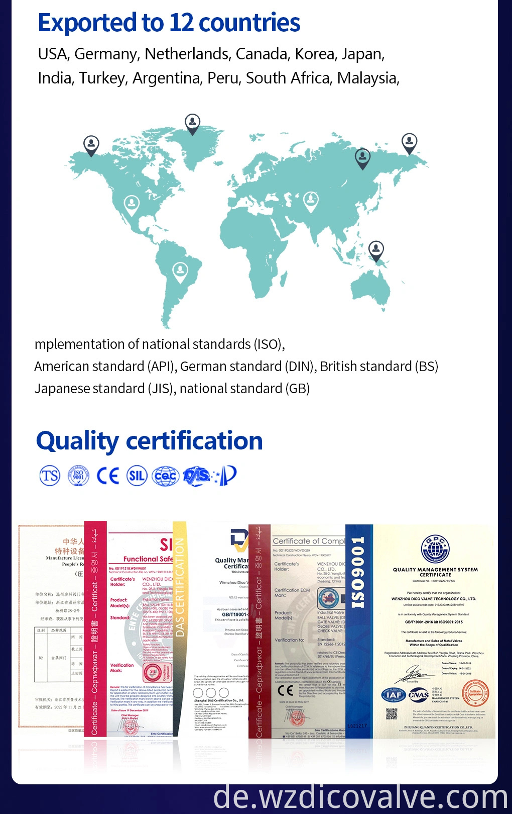 CE ISO TS Industrial H12 200Wog Edelstahl BSP BSPT vertikaler Scheckventil